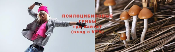 прущая мука Арсеньев