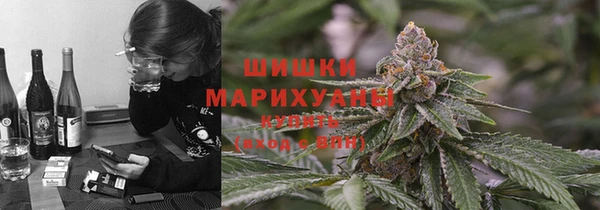 прущие крисы Аркадак